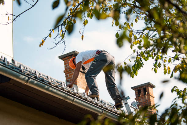 Professional Roofing Contractor in Westwood, MI