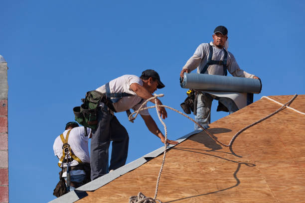 Best Roof Waterproofing Services  in Westwood, MI