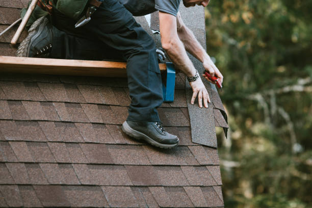 Quick and Trustworthy Emergency Roof Repair Services in Westwood, MI