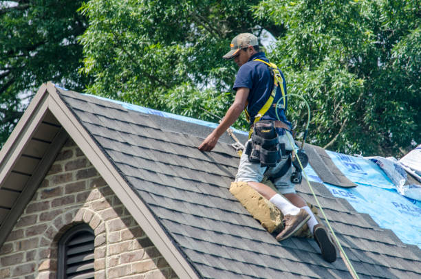 Best Shingle Roofing Installation  in Westwood, MI